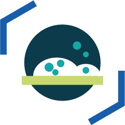 Biofilms